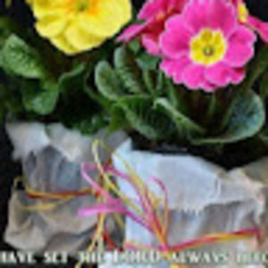 Meet your Posher, Sherry